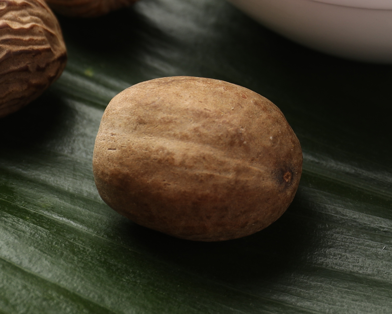 Shea nut on leaf